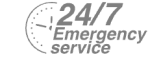 24/7 Emergency Service Pest Control in Leatherhead, Oxshott, Fetcham, KT22. Call Now! 020 8166 9746