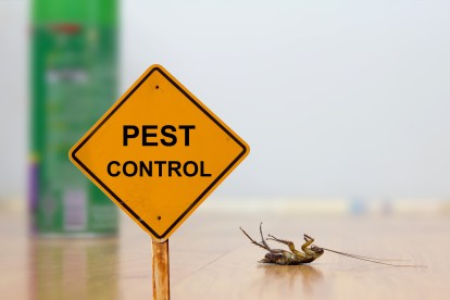 Pest Contol in Leatherhead, Oxshott, Fetcham, KT22. Call Now 020 8166 9746